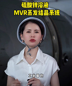 硫酸鋅溶液MVR蒸發(fā)結(jié)晶系統(tǒng)