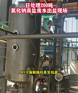 日處理100噸氯化鈉高鹽廢水出鹽現(xiàn)場(chǎng)